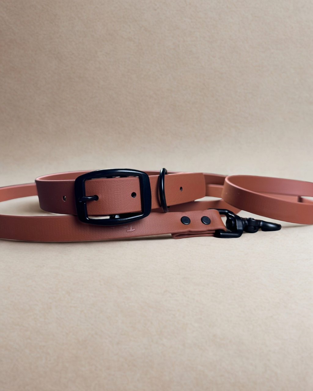 Ensemble collier et laisse