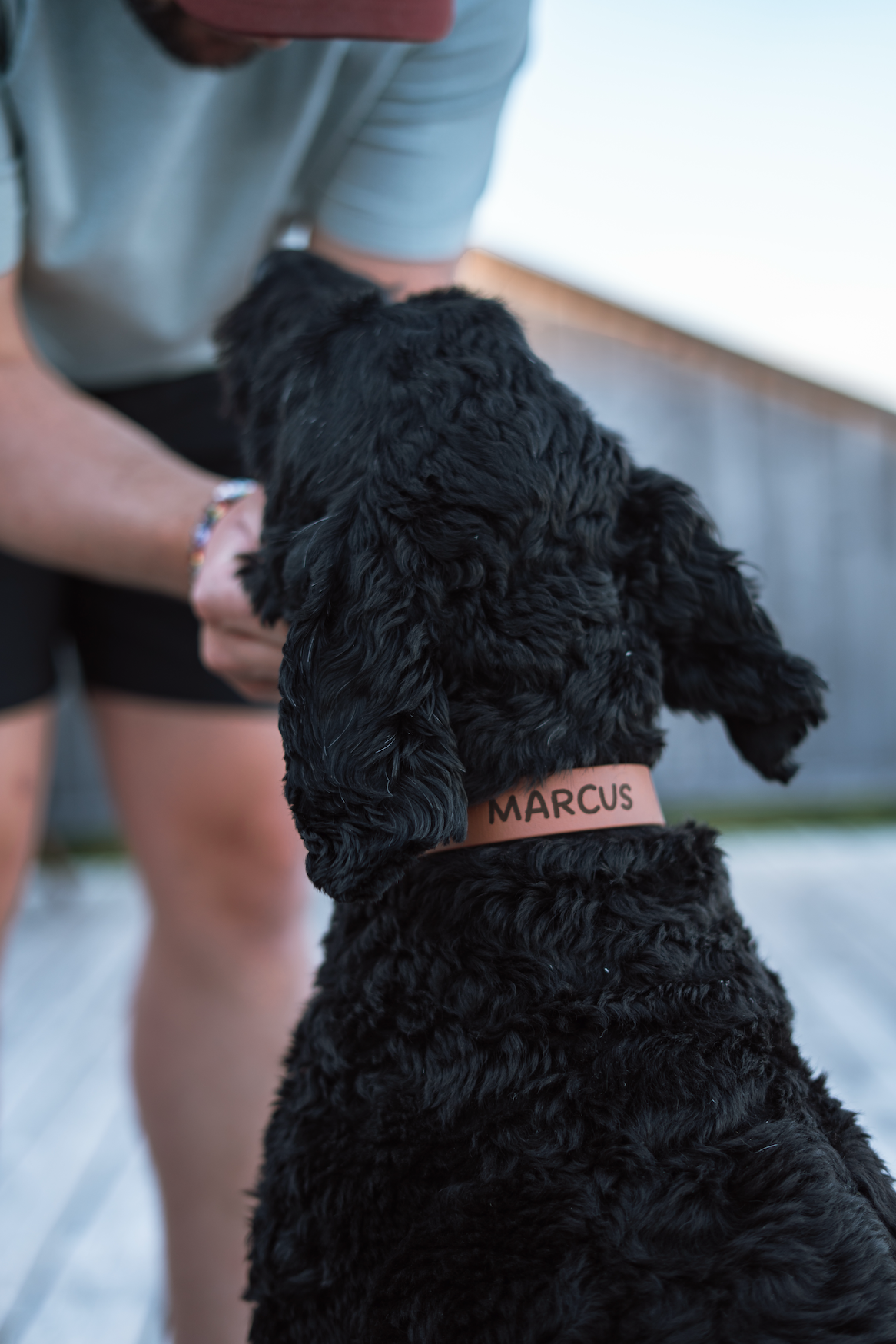 Faites graver le nom de votre chien sur son collier