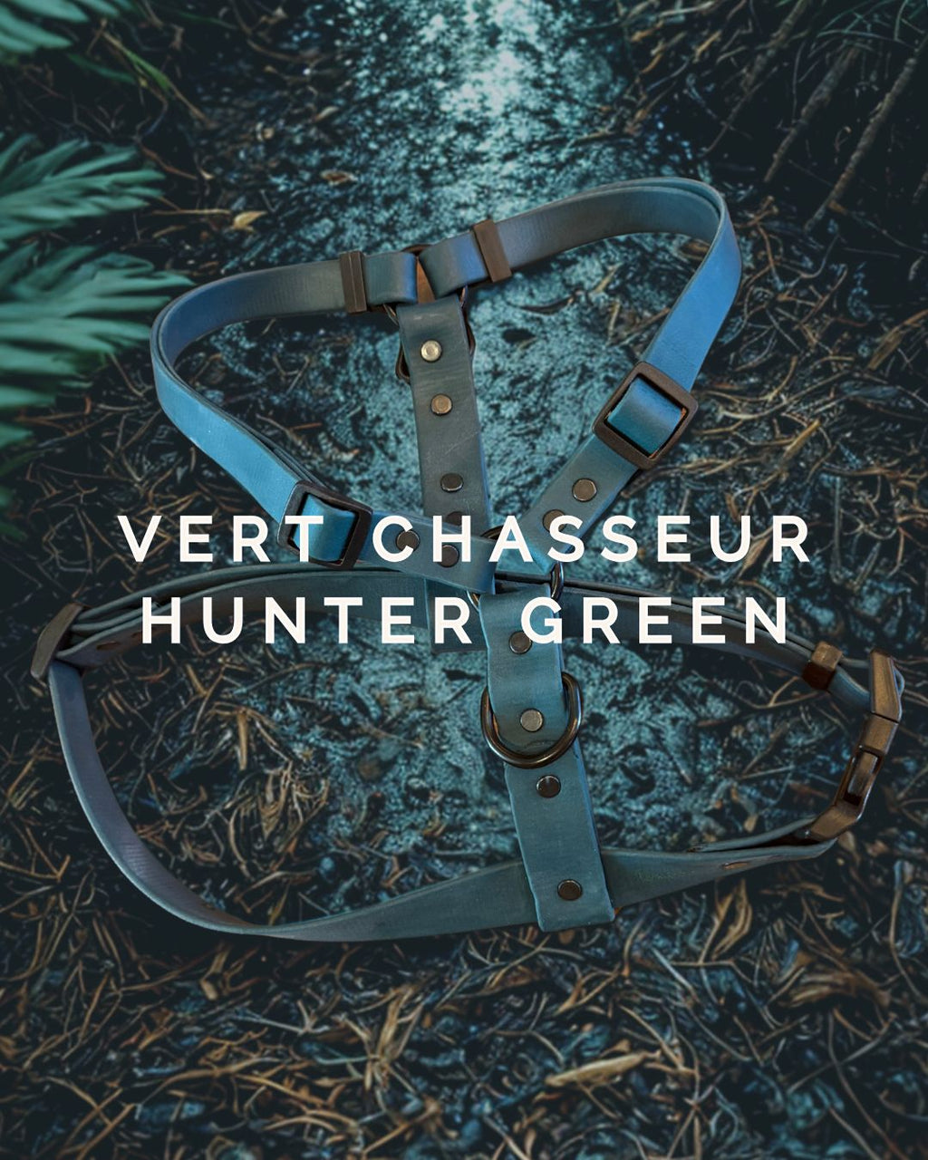 Harnais pour chien Vert