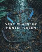 Harnais pour chien Vert