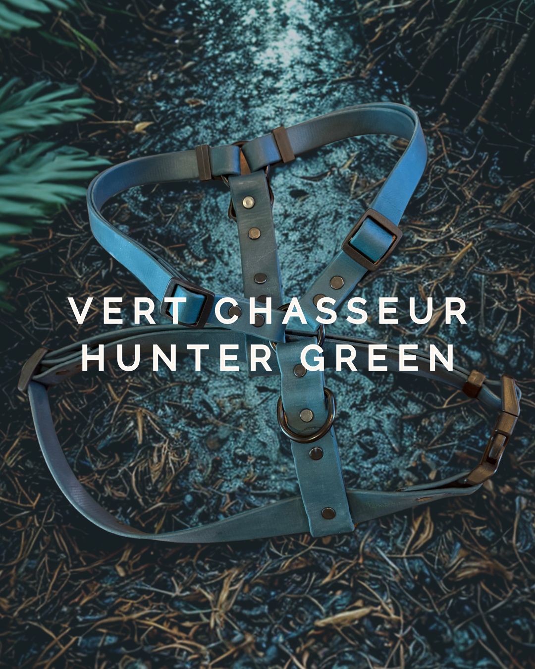 Harnais pour chien Vert