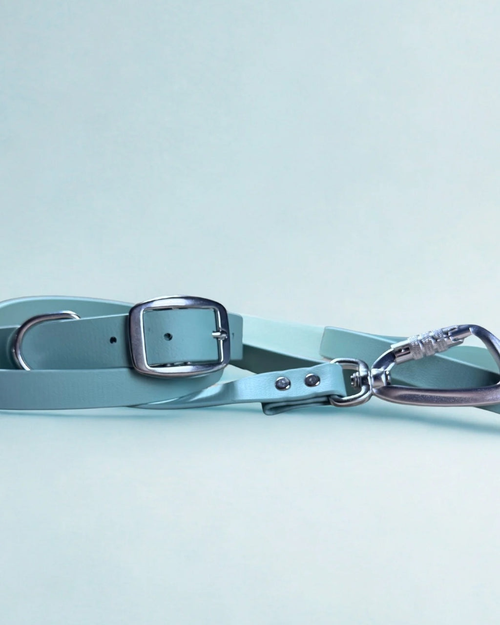 Ensemble robuste collier et laisse Stainless Steel + Aluminium