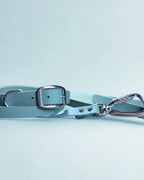 Ensemble robuste collier et laisse Stainless Steel + Aluminium