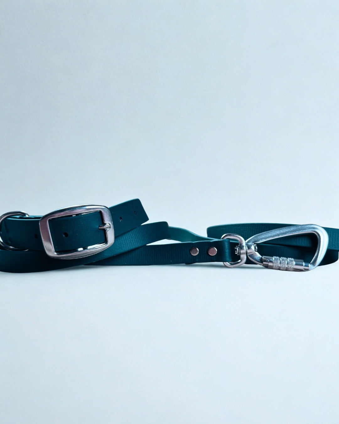 Ensemble robuste collier et laisse Stainless Steel + Aluminium