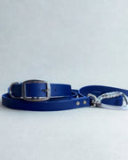 Ensemble robuste collier et laisse Stainless Steel + Aluminium