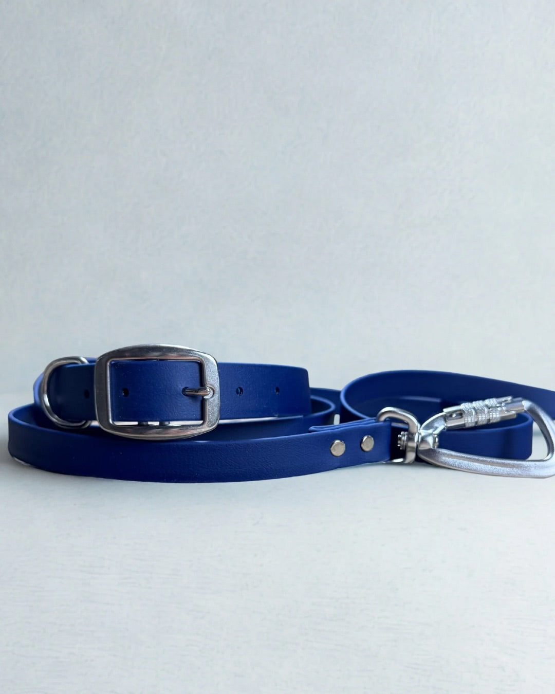 Ensemble robuste collier et laisse Stainless Steel + Aluminium