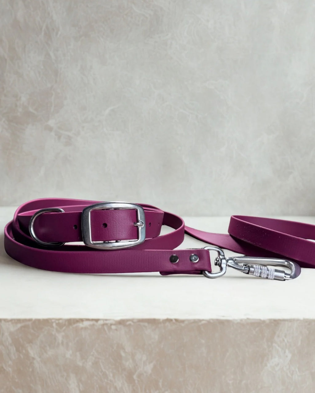 Ensemble robuste collier et laisse Stainless Steel + Aluminium