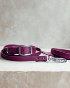 Ensemble robuste collier et laisse Stainless Steel + Aluminium