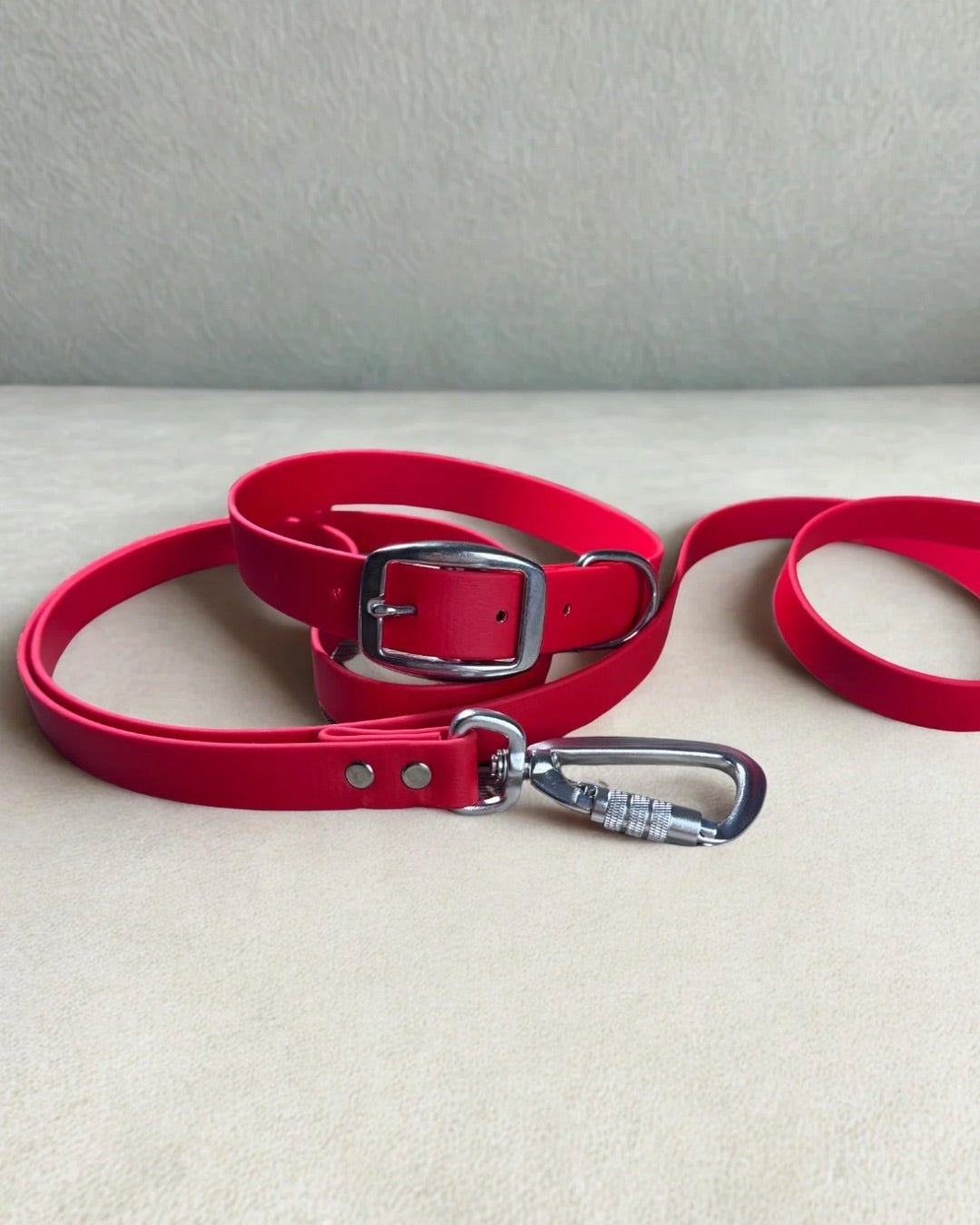 Ensemble robuste collier et laisse Stainless Steel + Aluminium