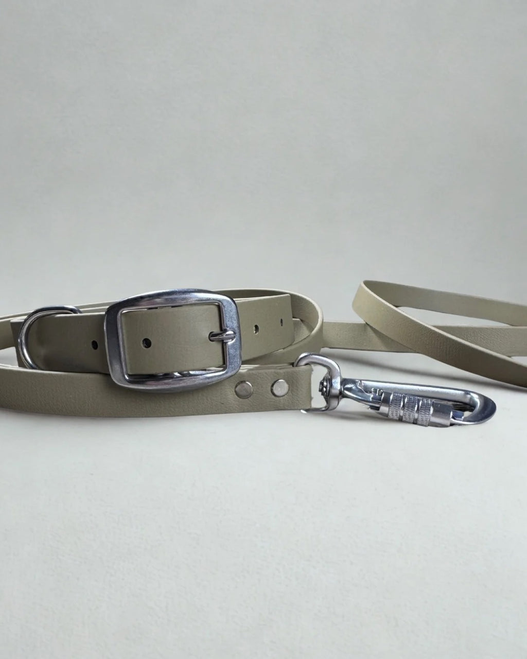 Ensemble robuste collier et laisse Stainless Steel + Aluminium