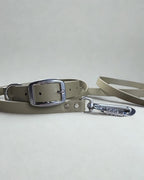 Ensemble robuste collier et laisse Stainless Steel + Aluminium