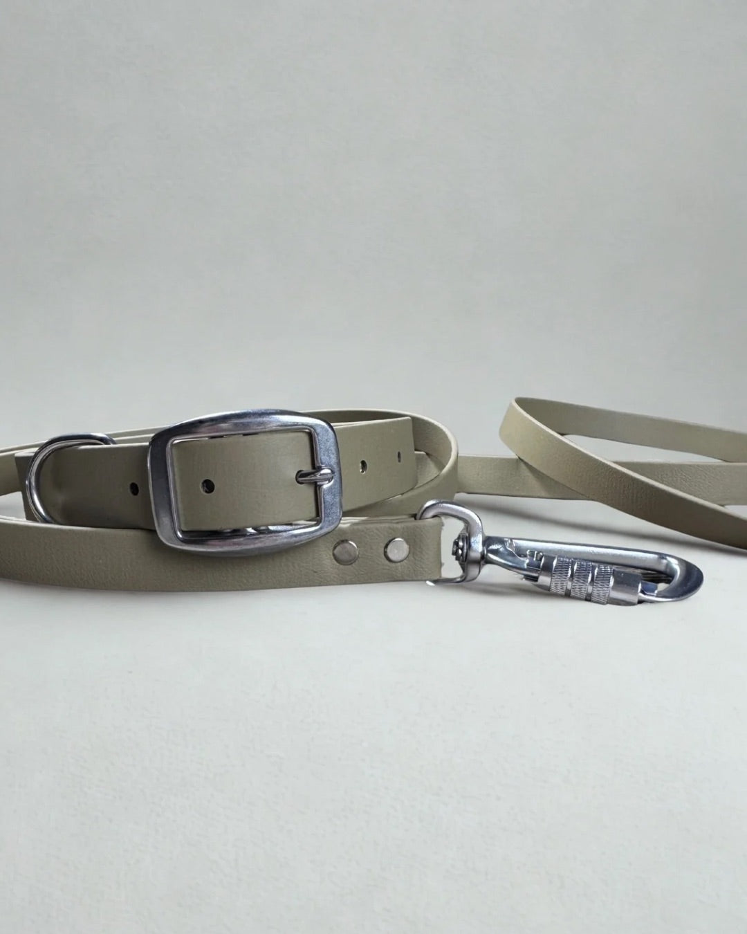 Ensemble robuste collier et laisse Stainless Steel + Aluminium