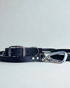 Ensemble robuste collier et laisse Stainless Steel + Aluminium