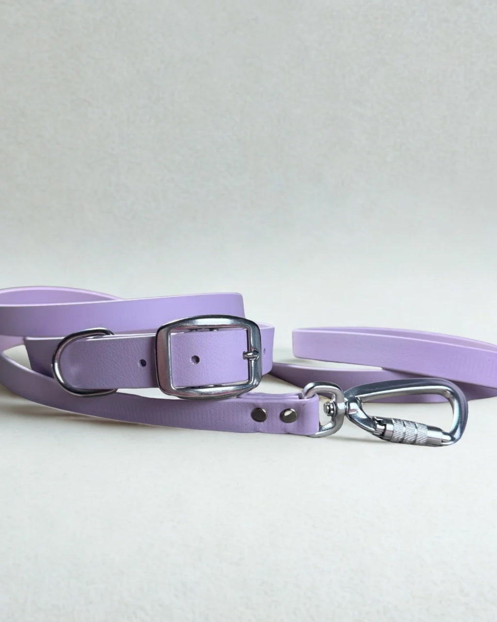 Ensemble robuste collier et laisse Stainless Steel + Aluminium