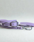 Ensemble robuste collier et laisse Stainless Steel + Aluminium