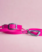 Ensemble robuste collier et laisse Stainless Steel + Aluminium