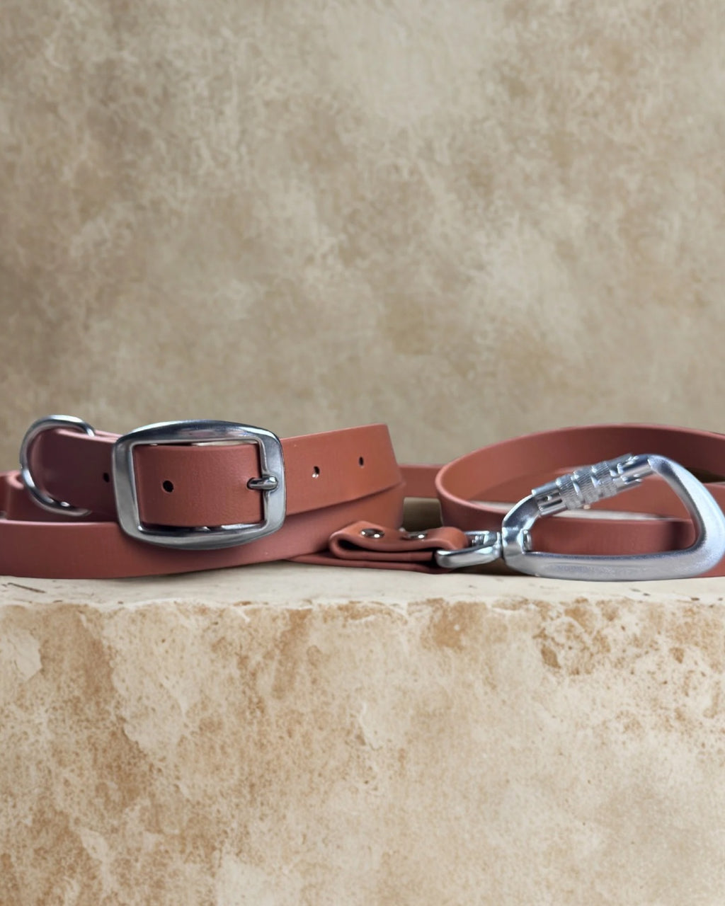 Ensemble robuste collier et laisse Stainless Steel + Aluminium