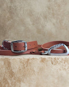 Ensemble robuste collier et laisse Stainless Steel + Aluminium