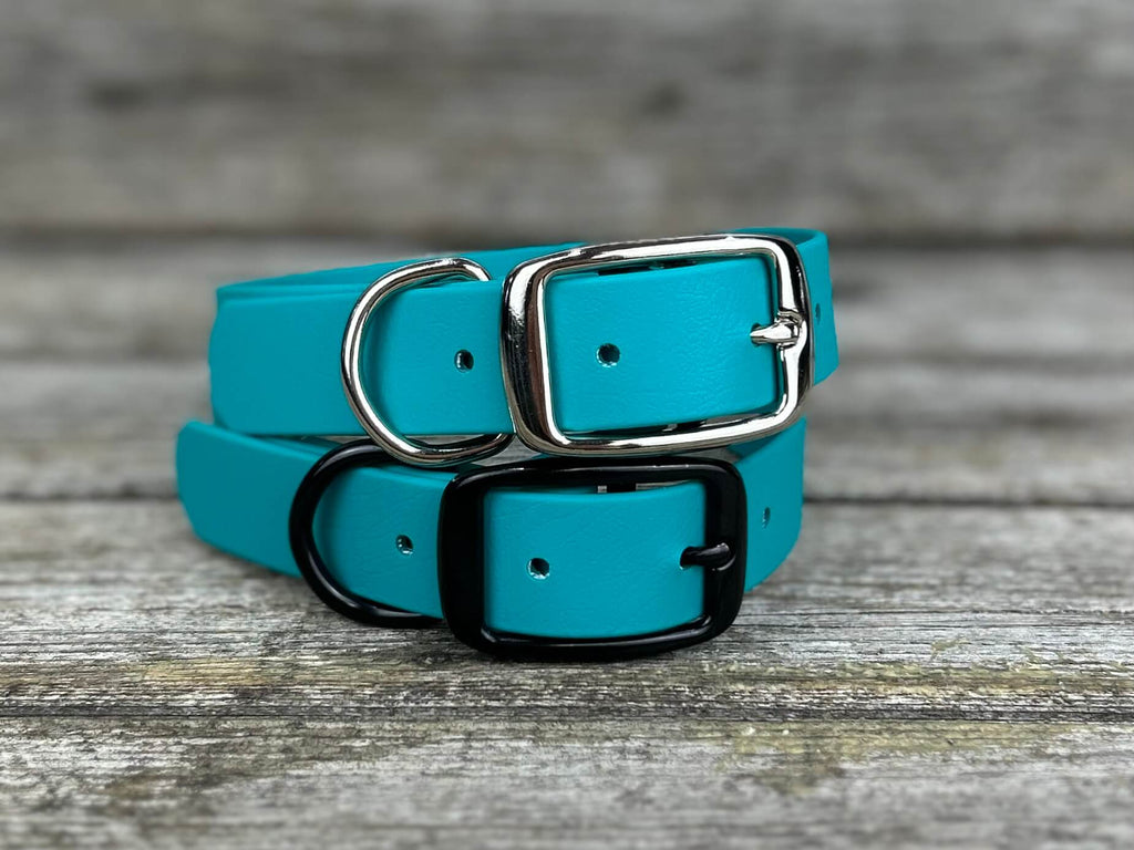 Sturdy Collar with Belt Buckle