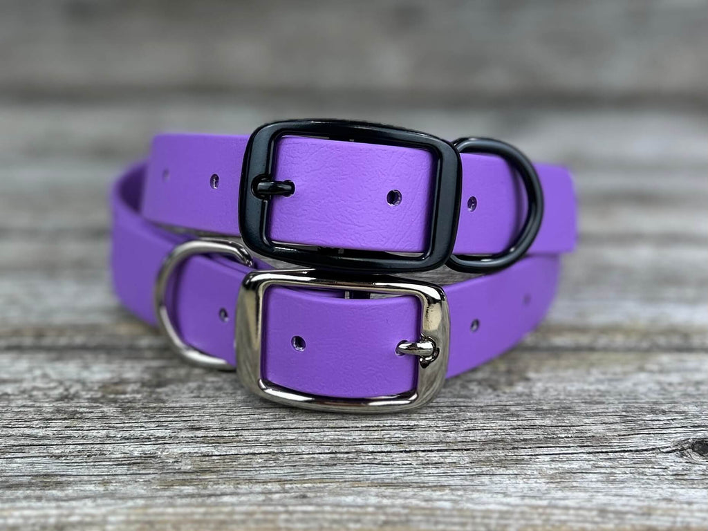 Sturdy Collar with Belt Buckle
