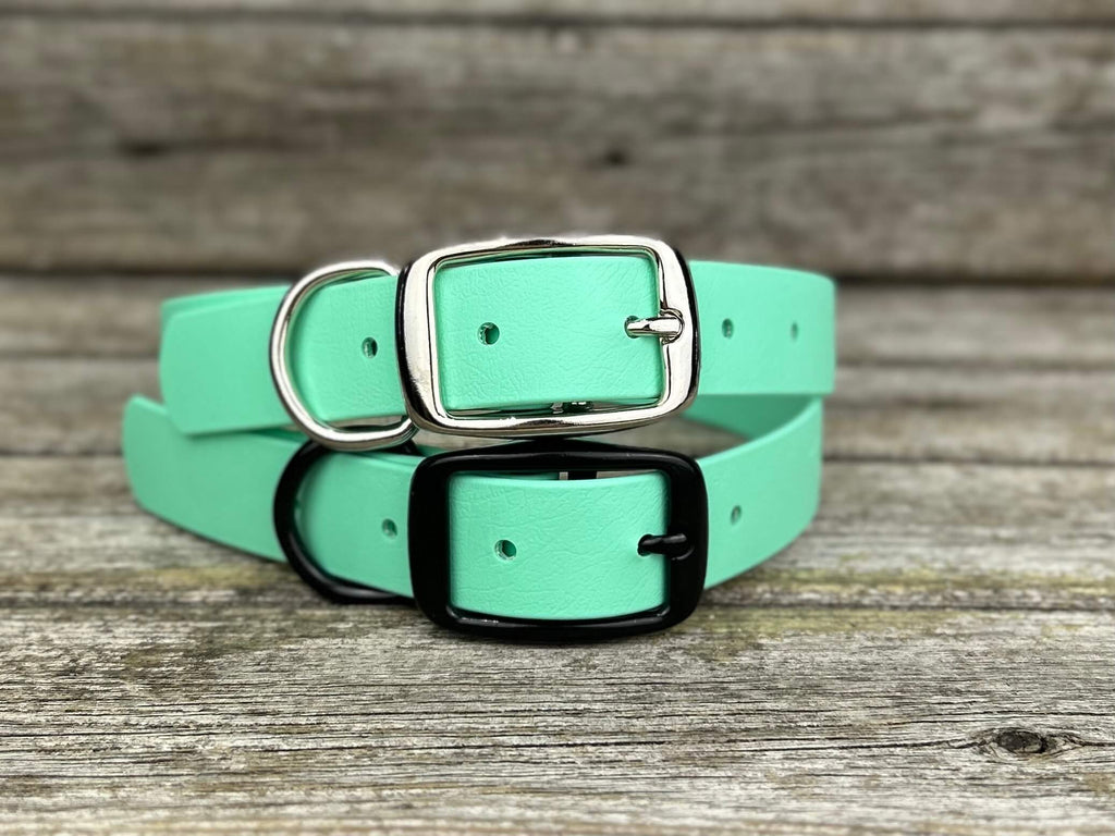 Sturdy Collar with Belt Buckle