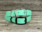 Sturdy Collar with Belt Buckle