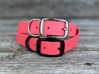Sturdy Collar with Belt Buckle