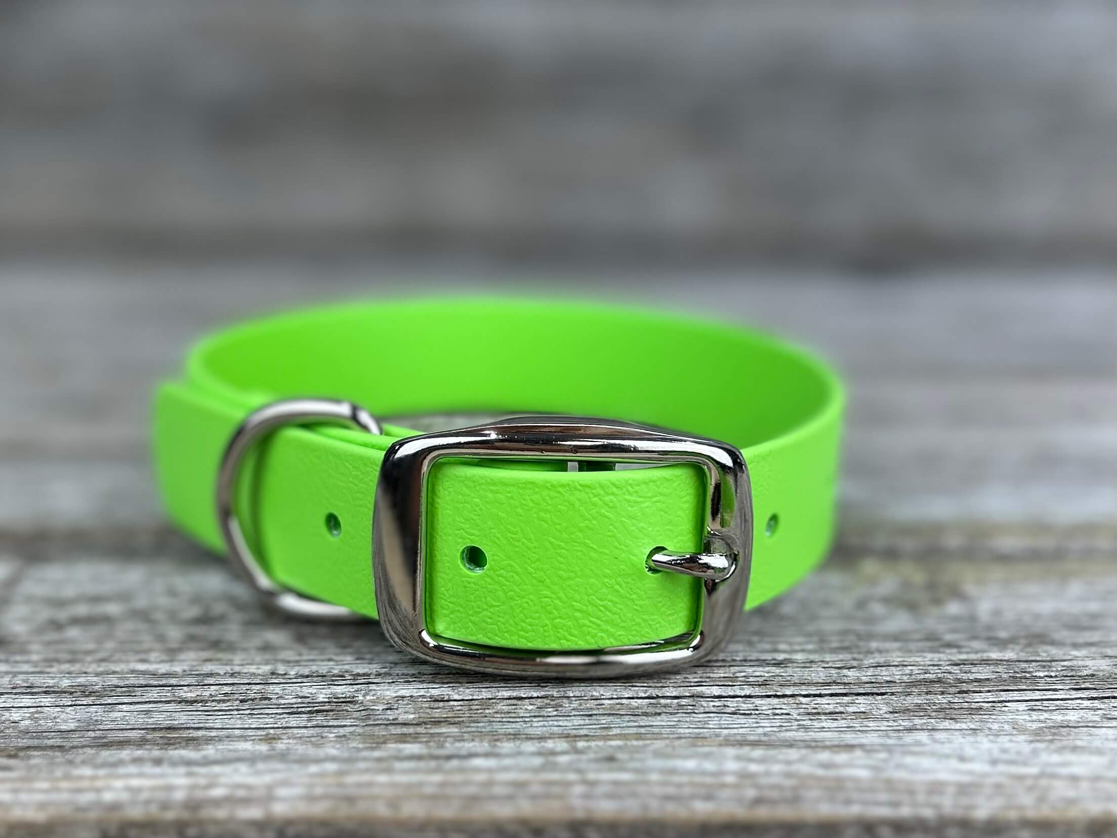 Collier robuste à Boucle Ceinture - Hors Sentiers