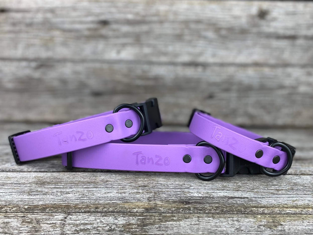 Adjustable Clip-On Collar