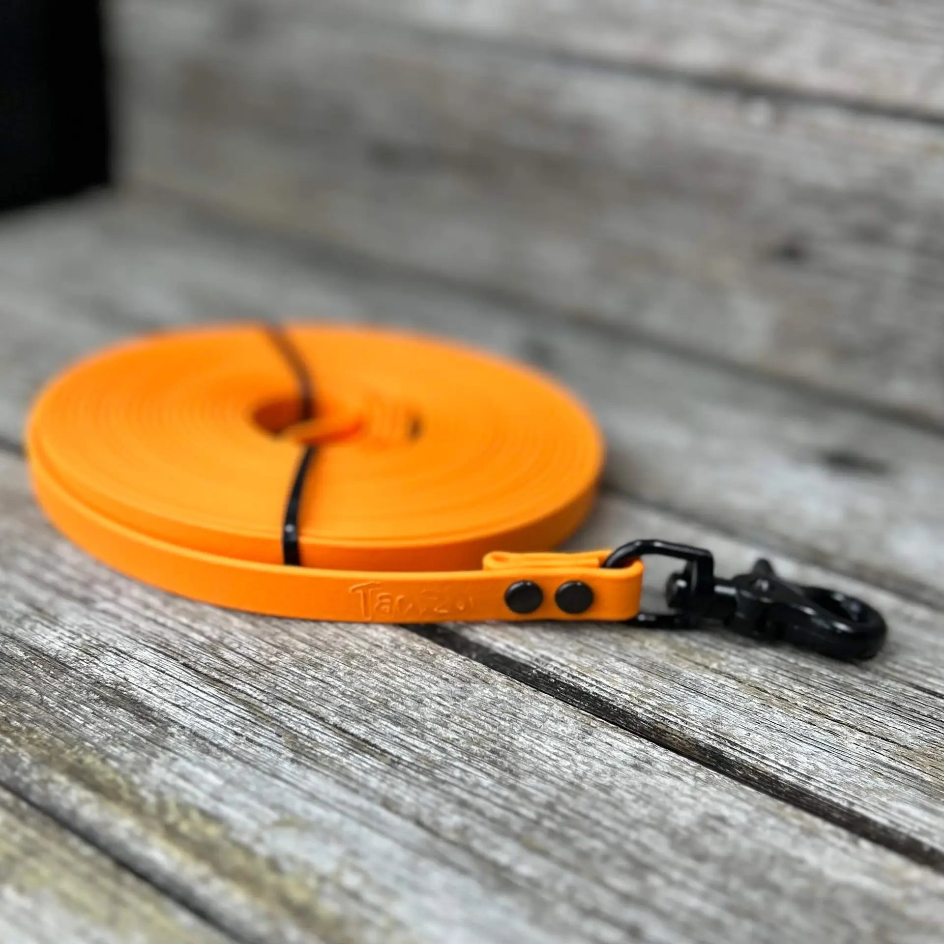 Longe de rappel en Biothane