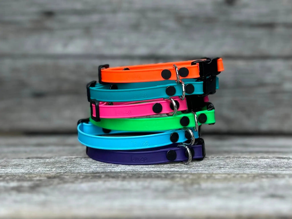 Collier pour chat en BioThane®️