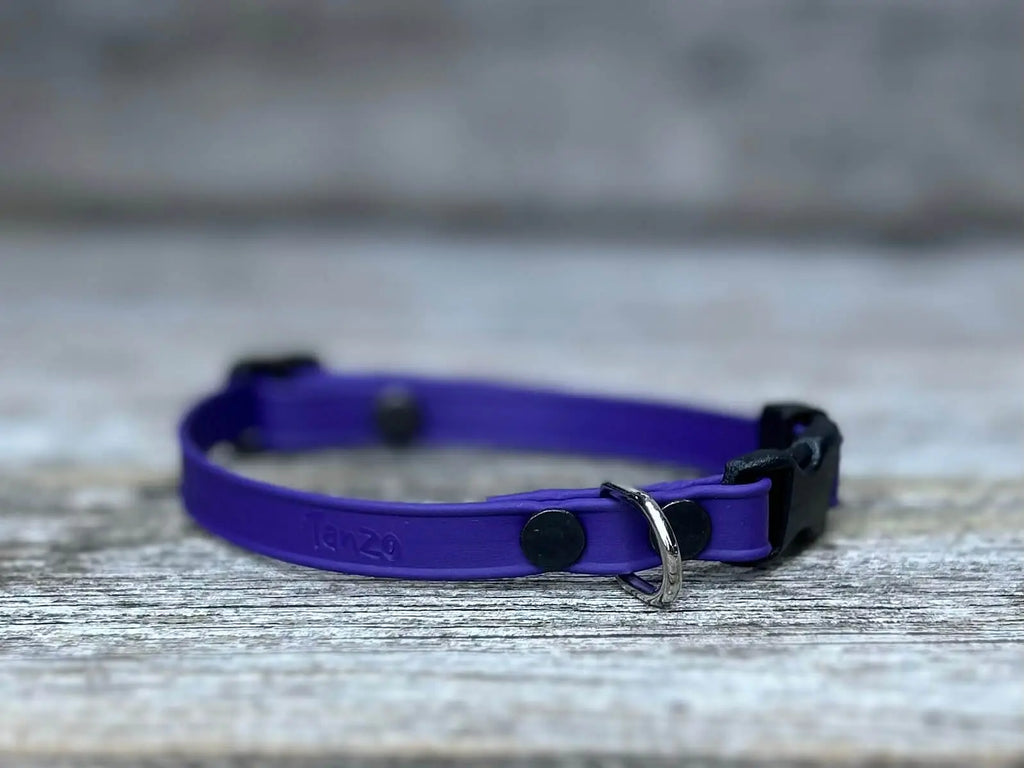 Collier pour chat en BioThane®️