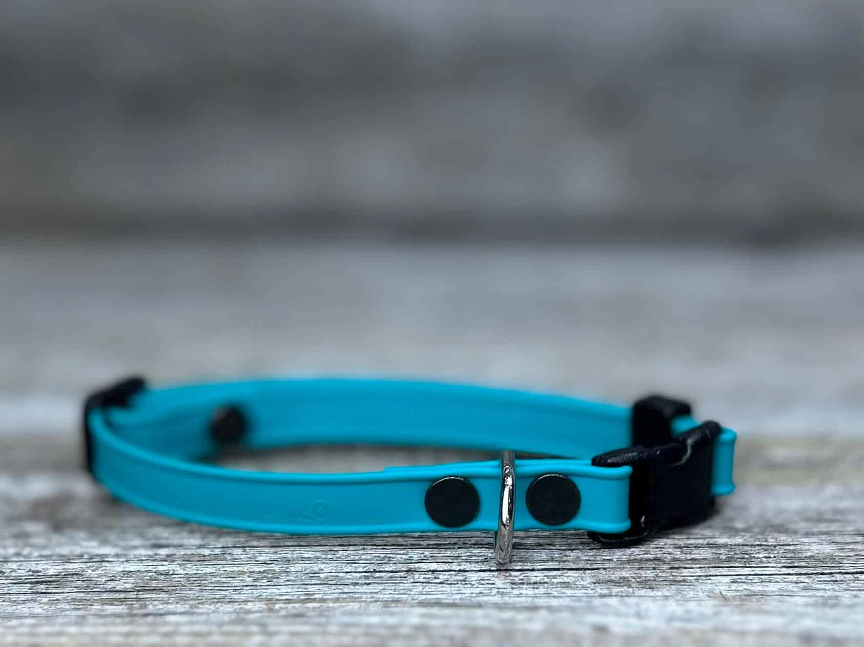 Collier pour chat en BioThane®️