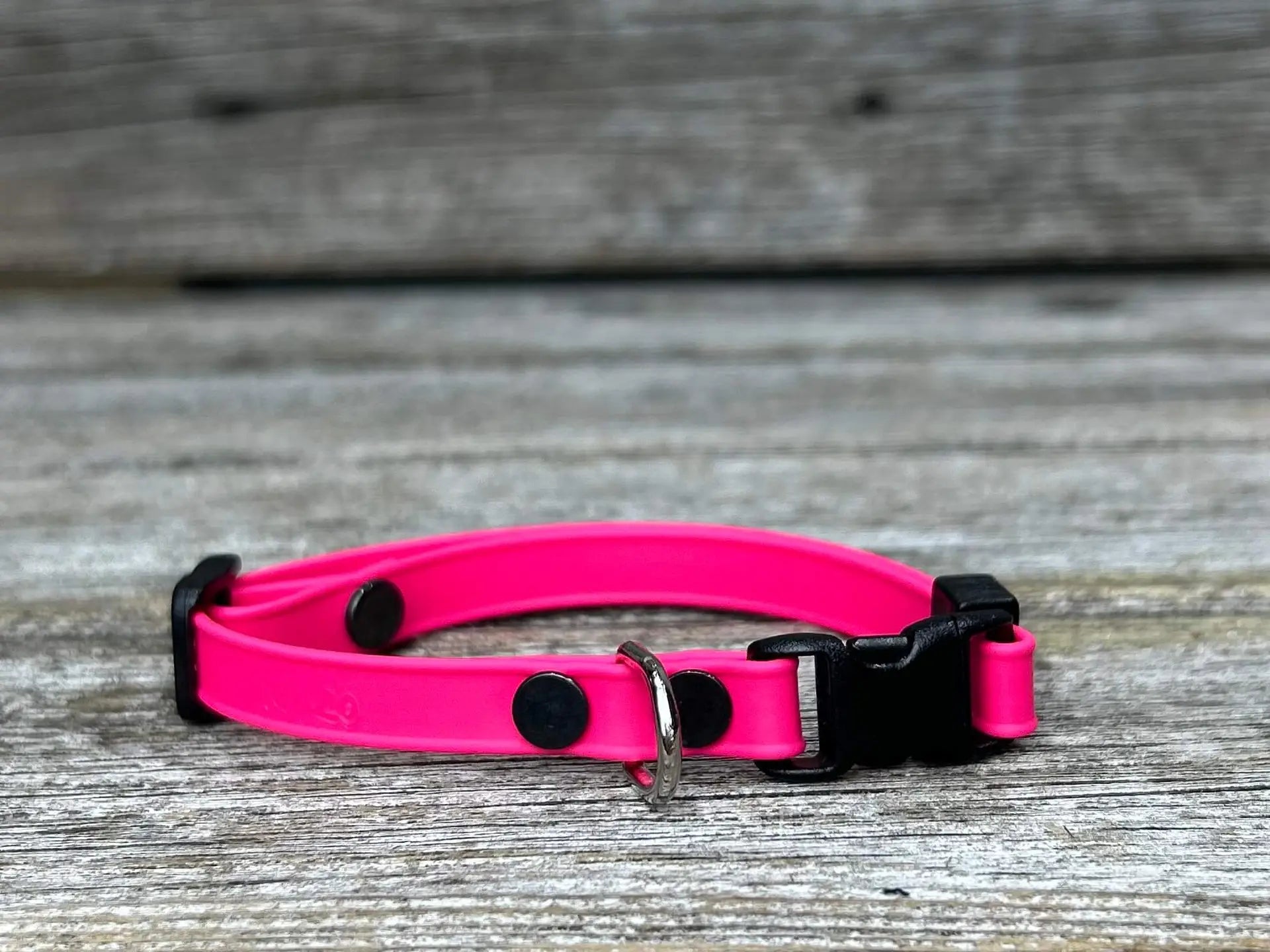 Collier pour chat en BioThane®️