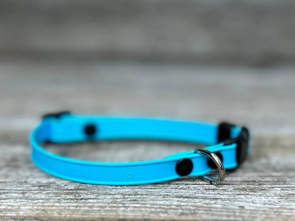 Collier pour chat en BioThane®️