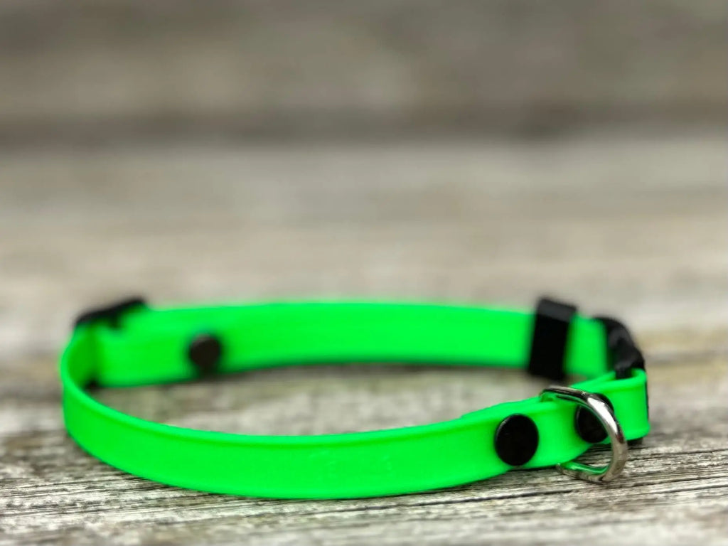 Collier pour chat en BioThane®️