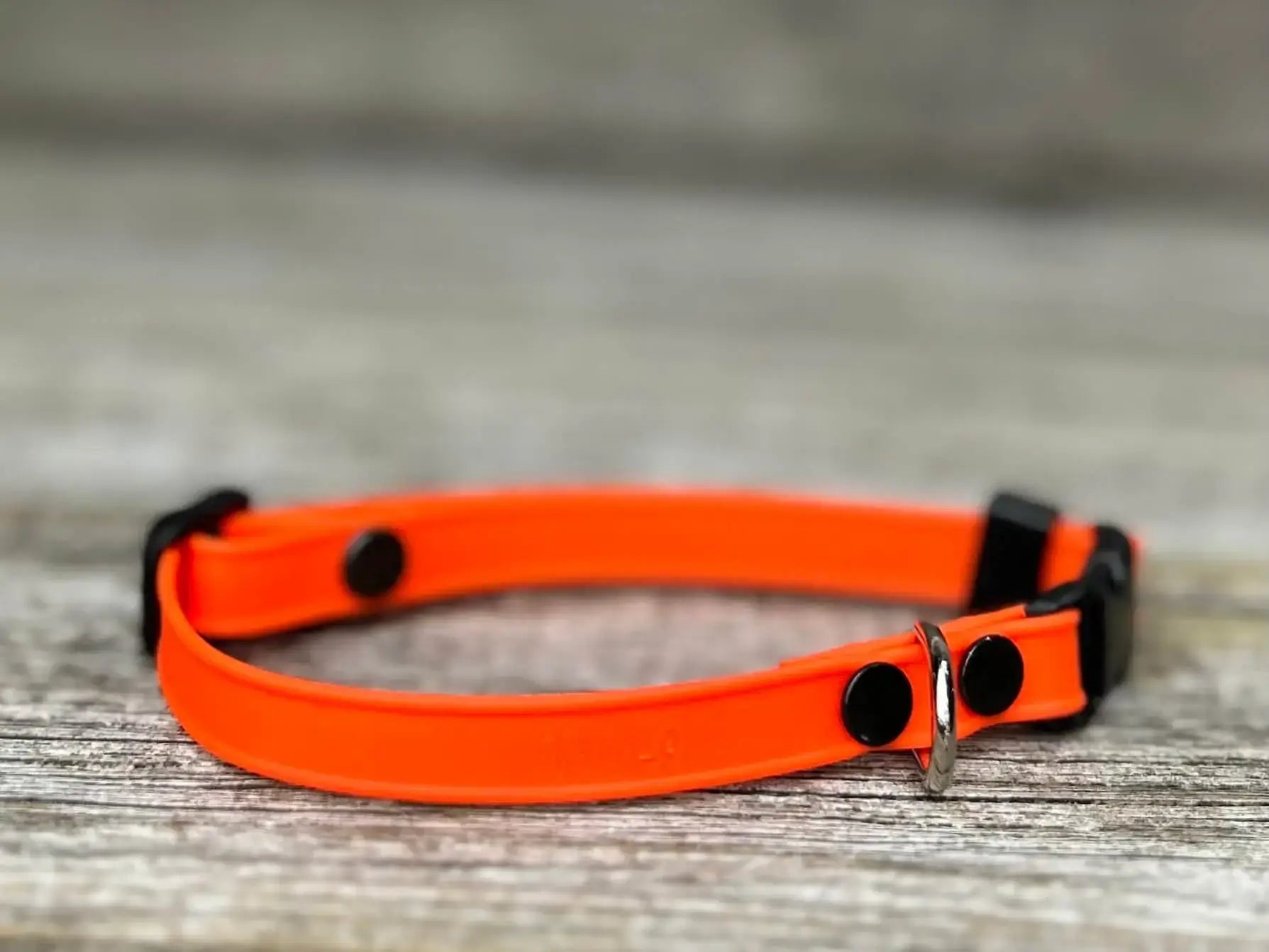 Collier pour chat en BioThane®️