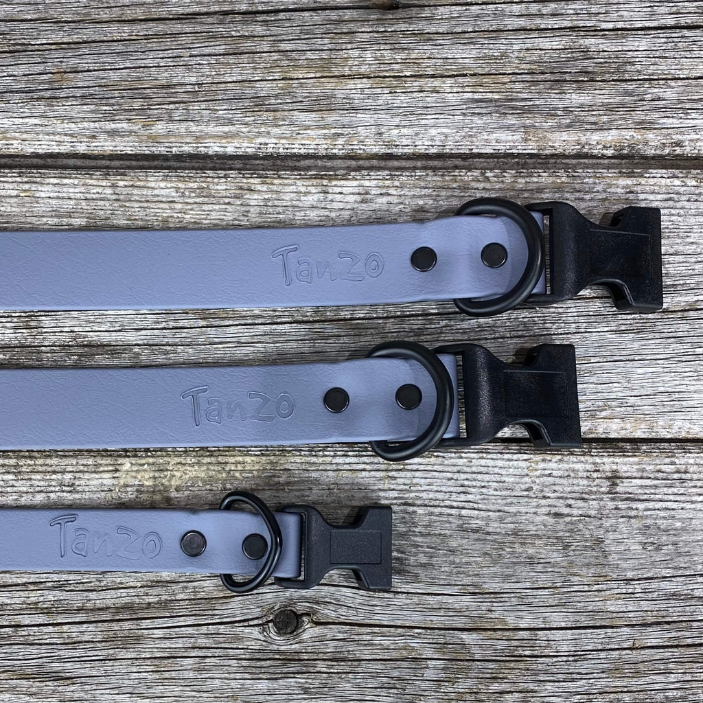 Sturdy Collar with Belt Buckle