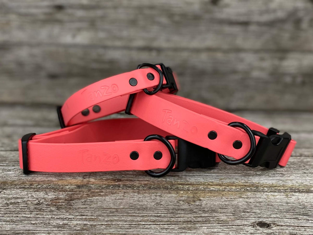 Adjustable Clip-On Collar