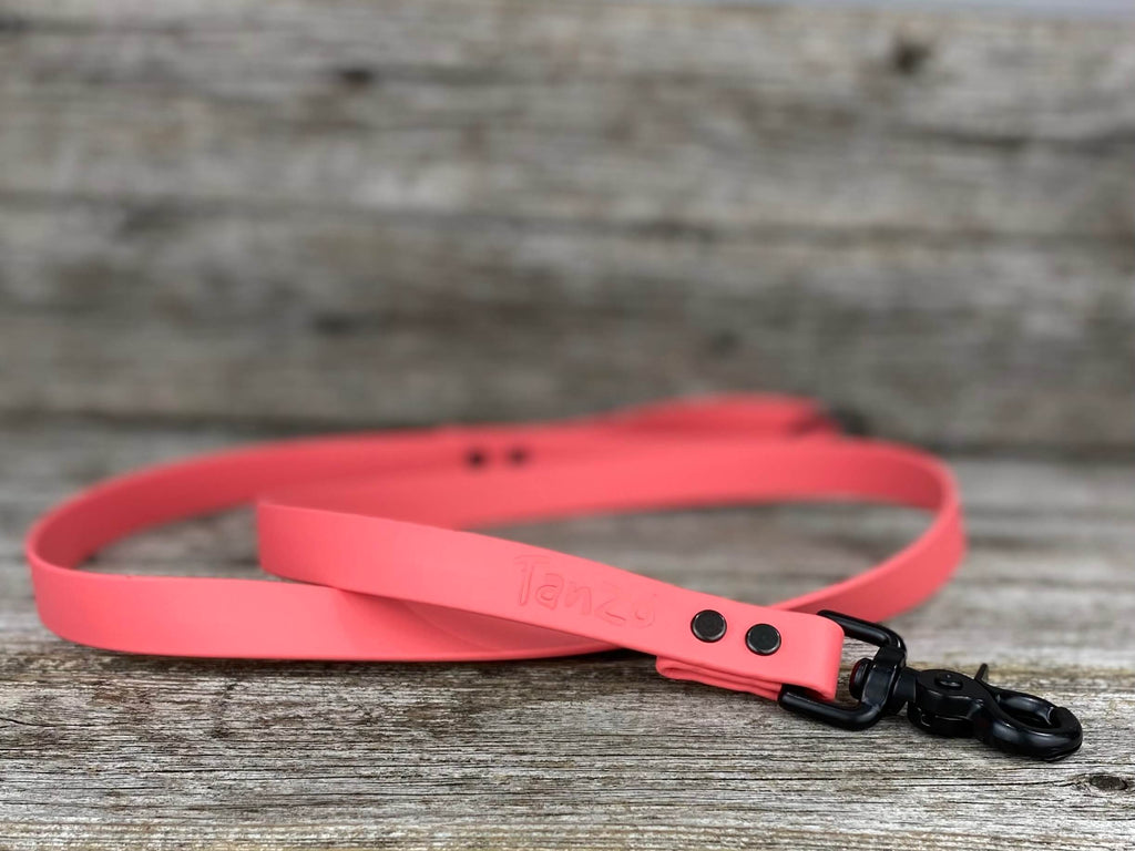 Laisse 4 pieds en biothane  - Hors-Sentiers