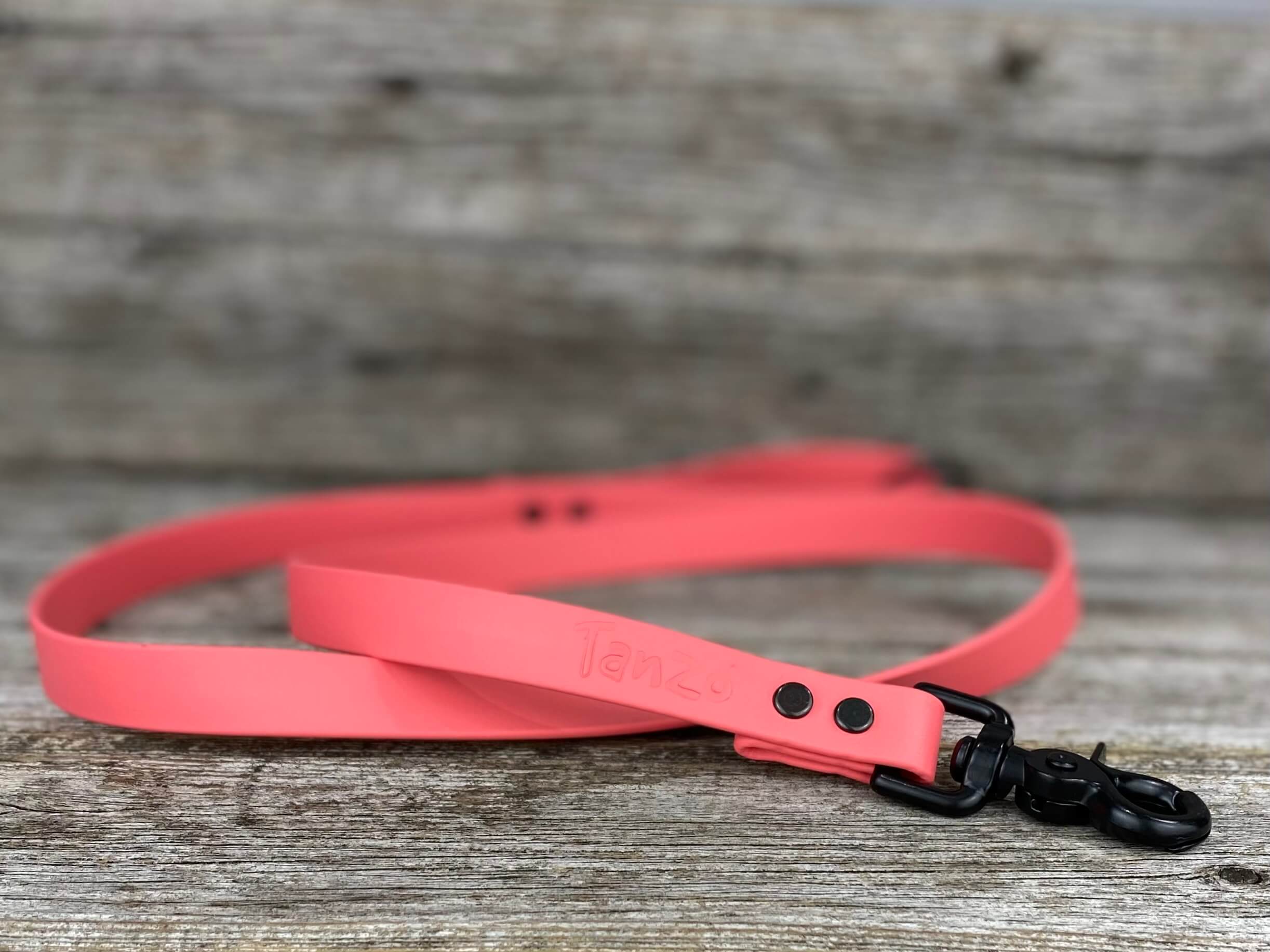 Laisse 6 pieds en biothane  - Collection Hors-Sentiers