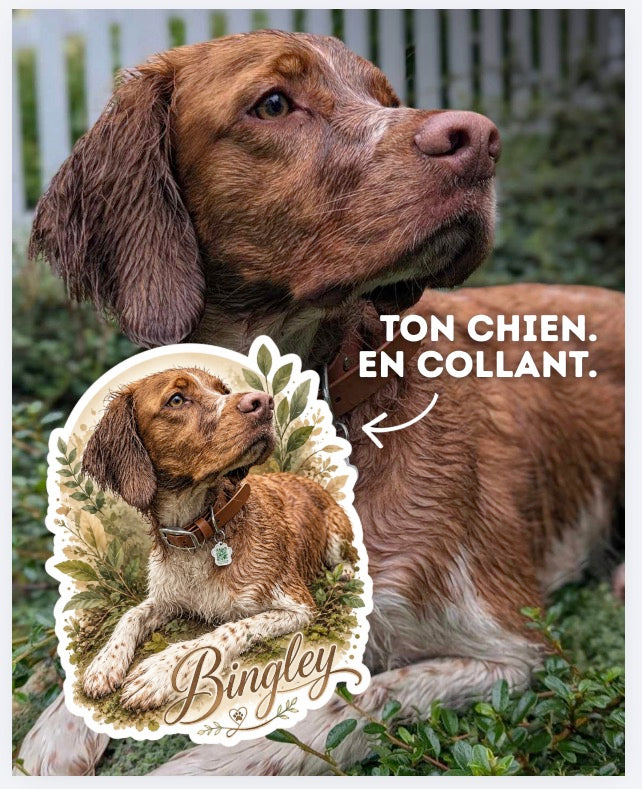 Ensemble d’autocollants personnalisés de ton chien