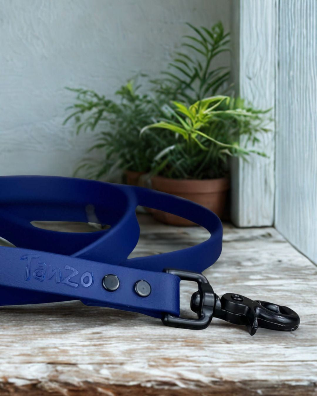 Laisse pour chien en biothane