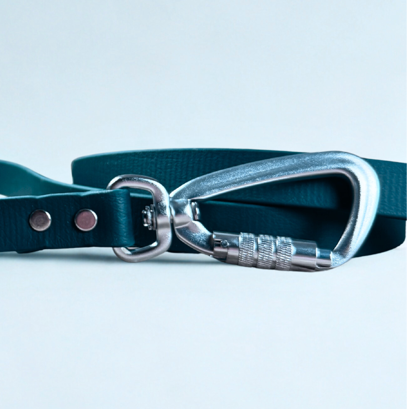 Laisse pour chien avec mousqueton en aluminium