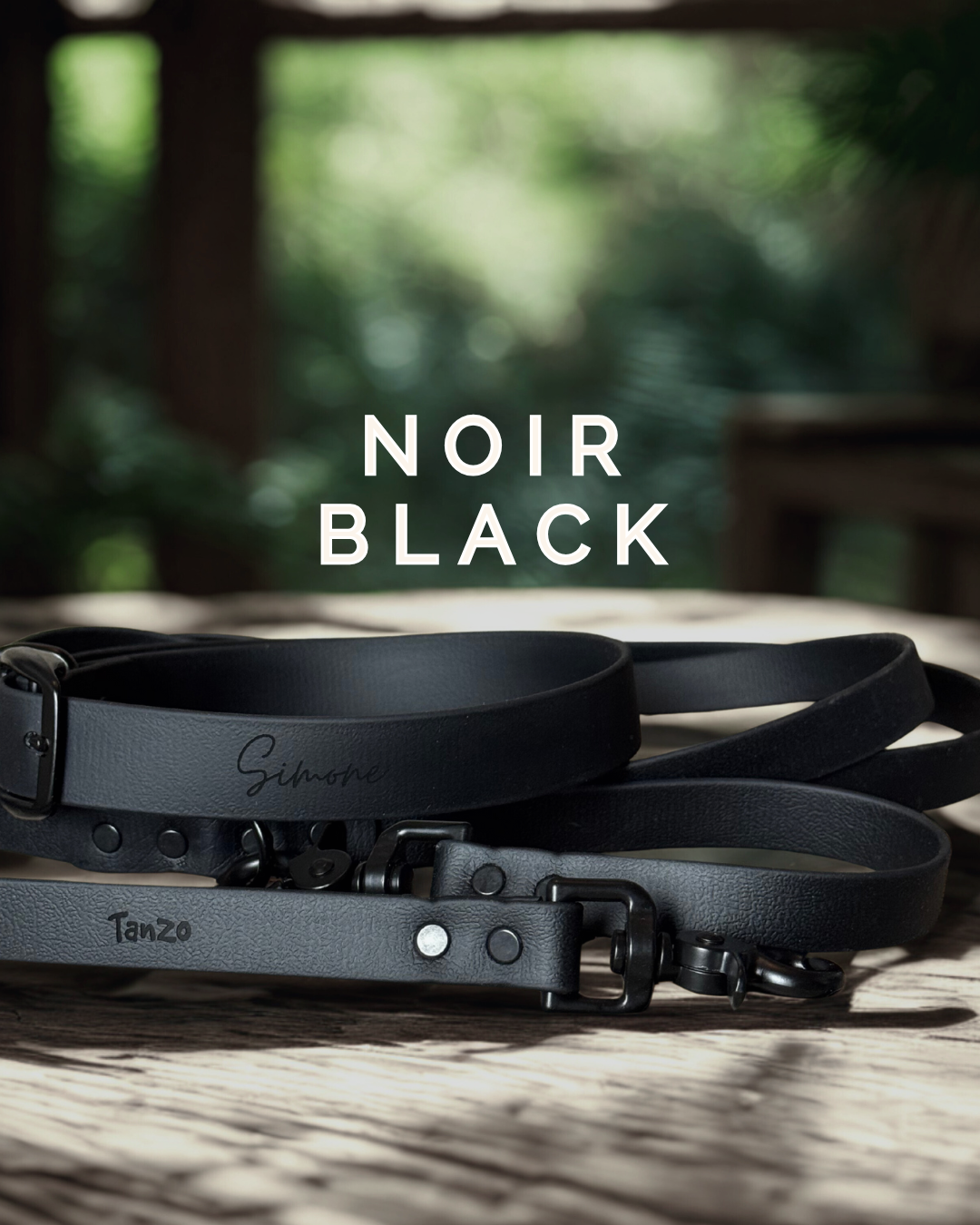 Ensemble collier et laisse