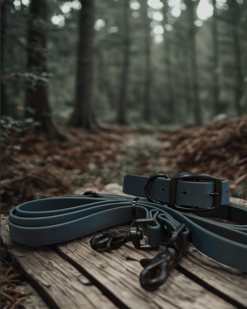 Ensemble collier et laisse