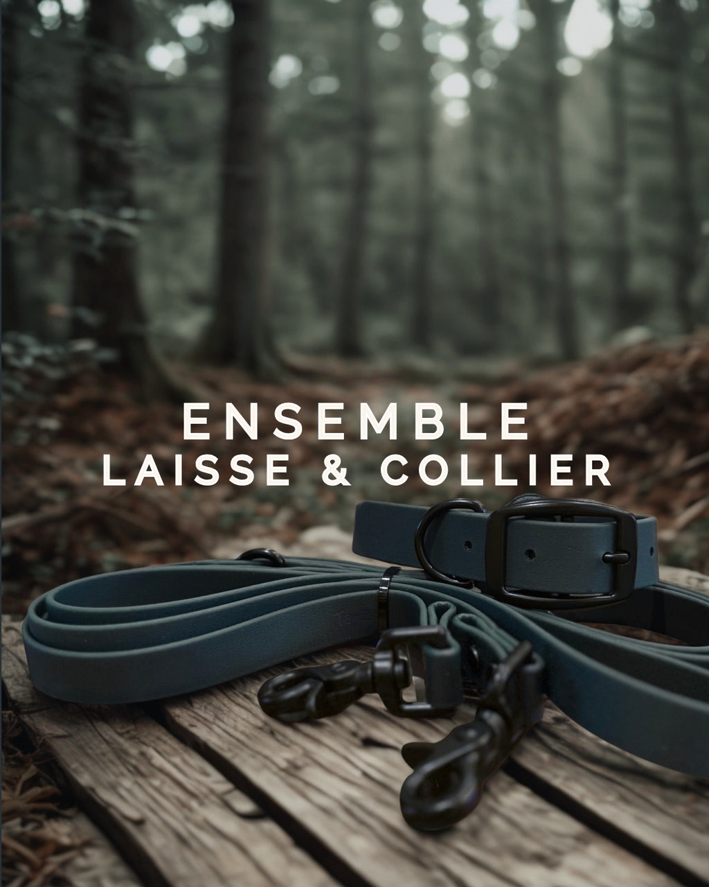 Ensemble collier et laisse