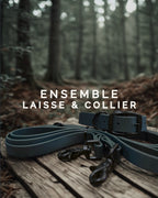 Ensemble collier et laisse