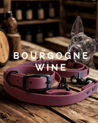 Ensemble collier et laisse