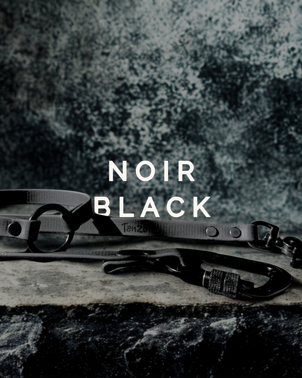 Longe de rappel en Biothane